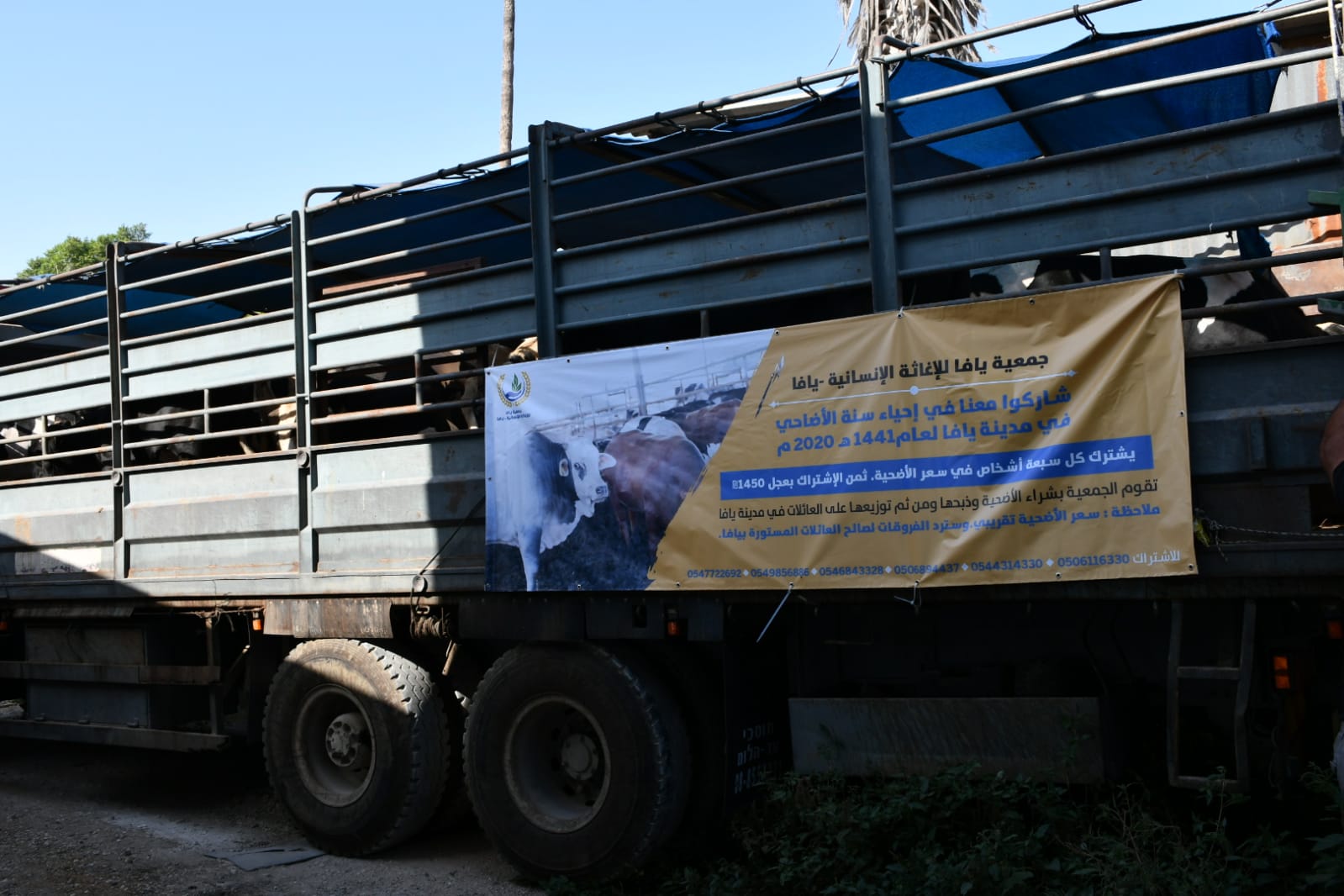 WhatsApp Image 2020-07-30 at 4.34.26 PM.jpeg.jpeg